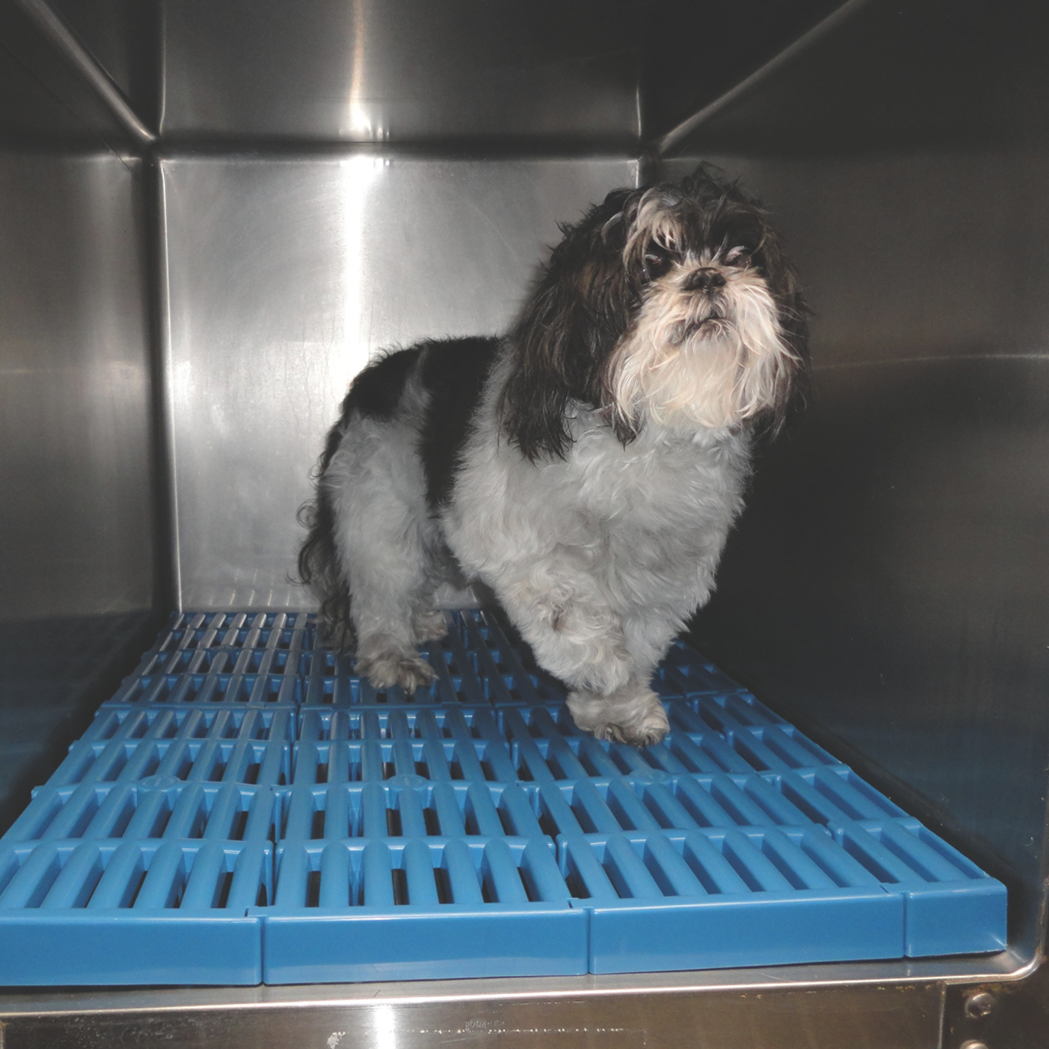 Paw Protector Cage Racks