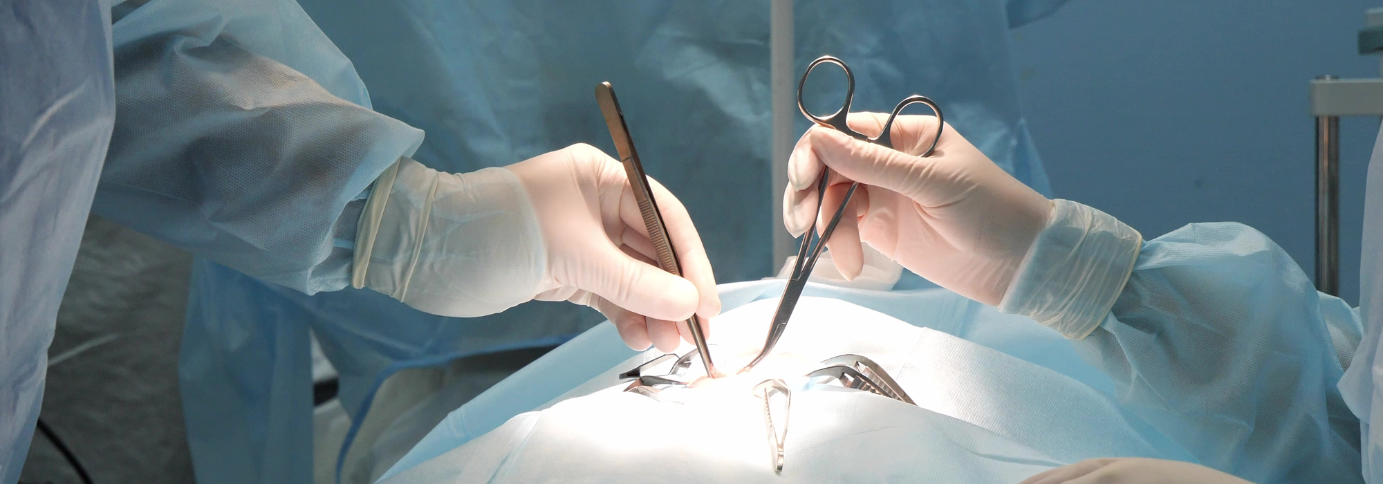 Veterinary Suggery Image