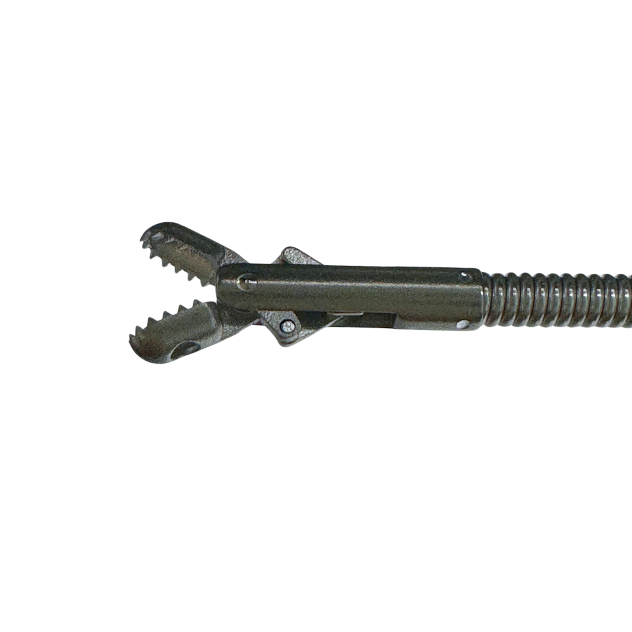 Firefly Flexible Alligator Forceps