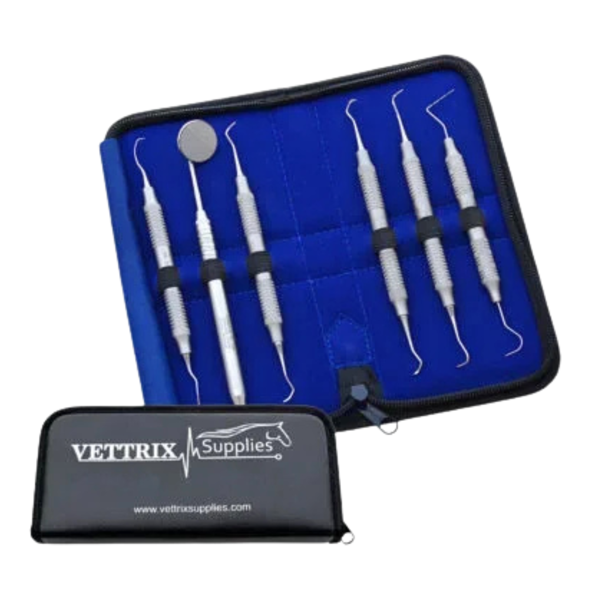 Dental Scaler Kit in Cassette