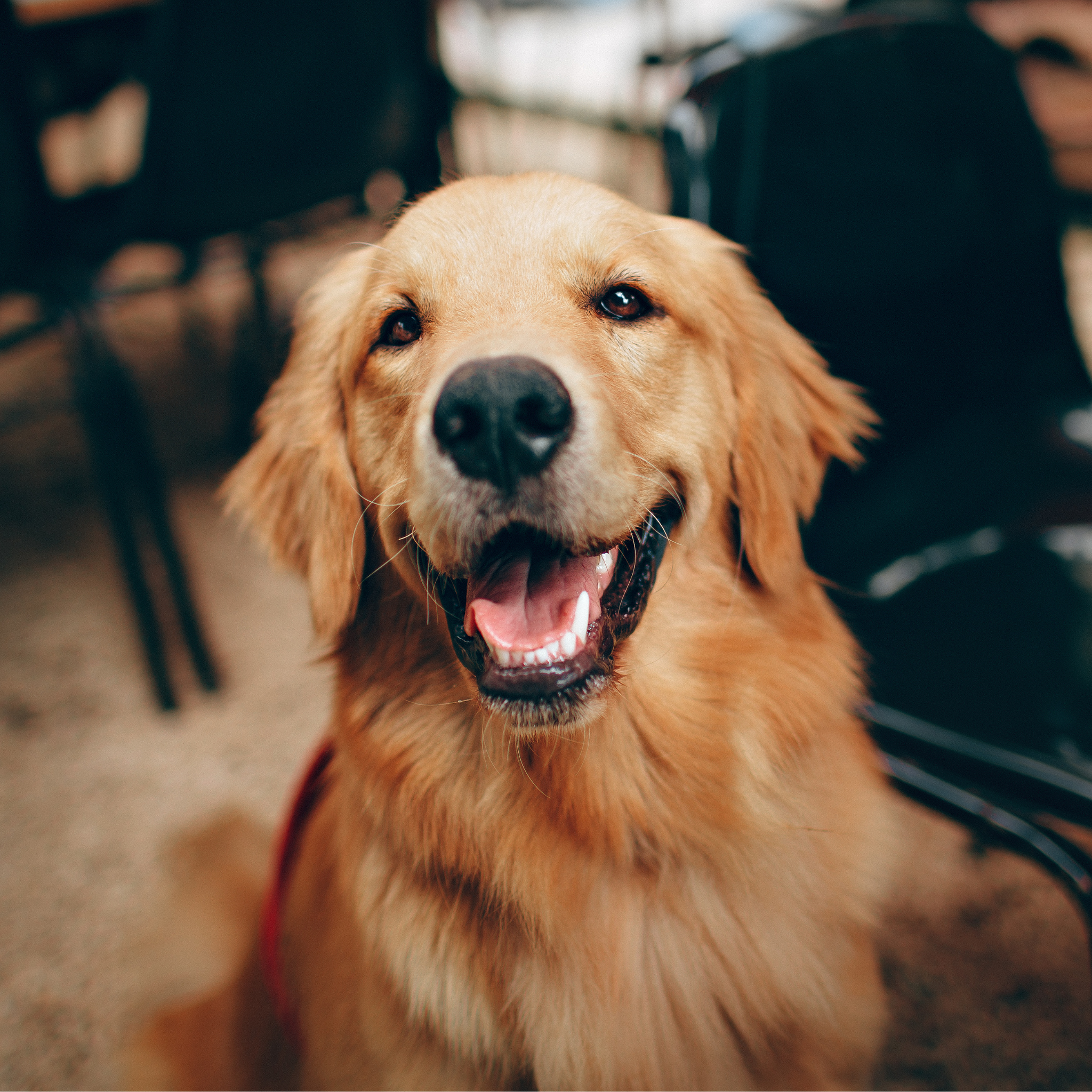 General Surgery Pack