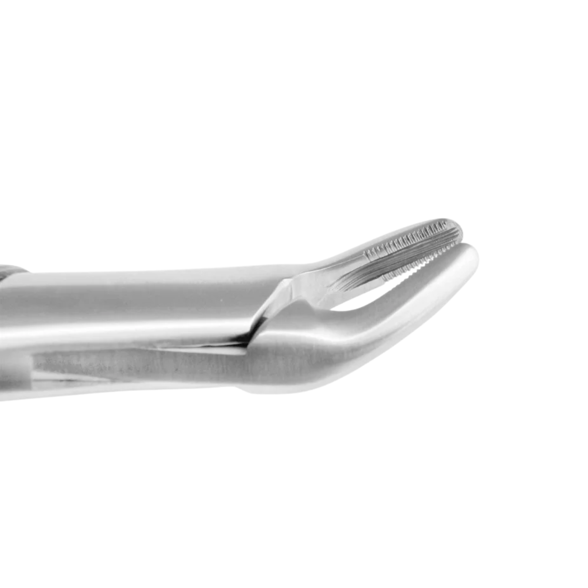 Extracting Forceps (Apical Upper)