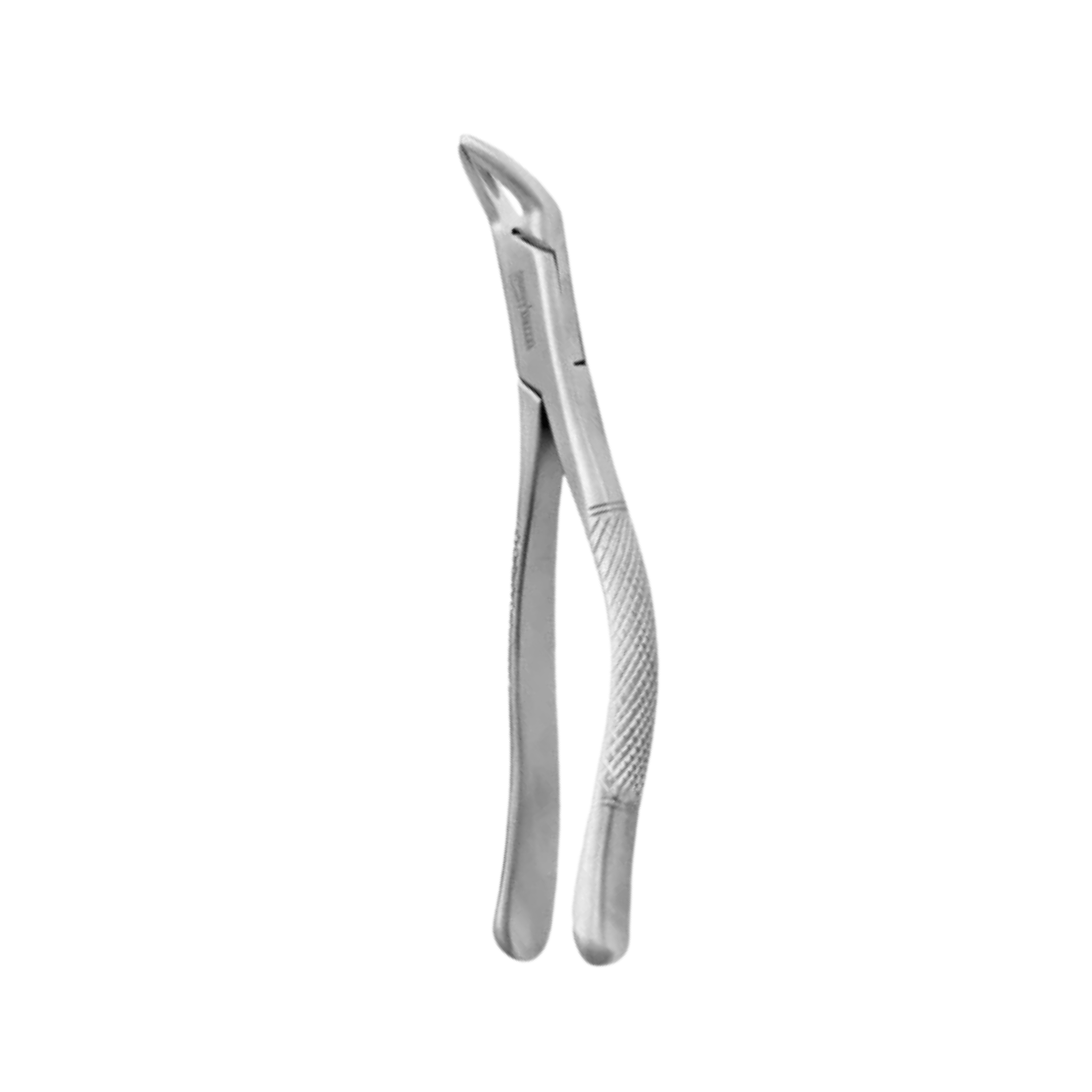 Extracting Forceps (Apical Lower)