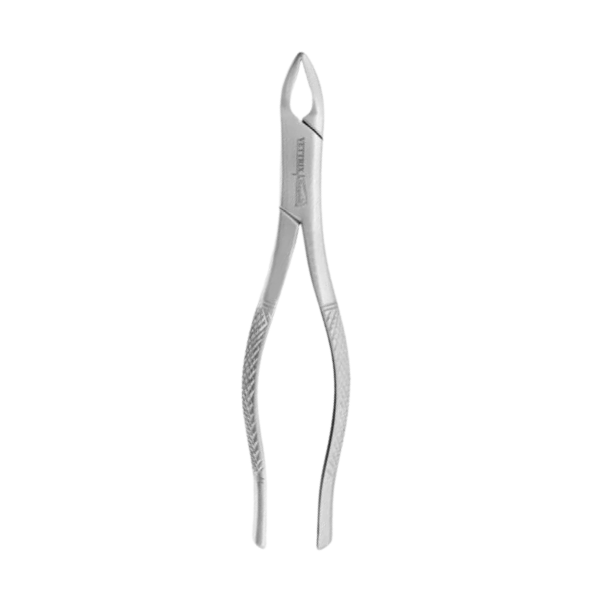 Extracting Forceps (Apical Upper)